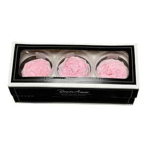 Trandafiri Criogenati KABUKIZA PIN-99 (dia.6cm x 3,2cm, set 3 buc /cutie) - DepozituldeCriogenati.ro