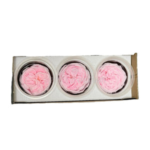 Trandafiri Criogenati KABUKIZA PIN-99 (dia.6cm x 3,2cm, set 3 buc /cutie) - DepozituldeCriogenati.ro