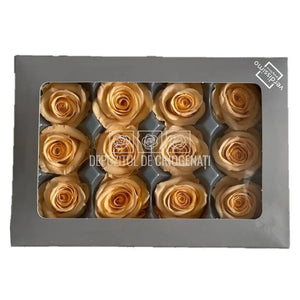 Trandafiri Criogenati Mini Peach (Ø3,5-4,5cm, set 12 buc /cutie) - DepozituldeCriogenati.ro