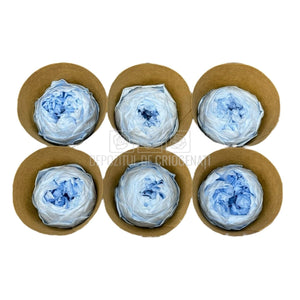Trandafiri Criogenati NIKI BLU-89 (dia. 5cm, set 6 buc /cutie) - DepozituldeCriogenati.ro