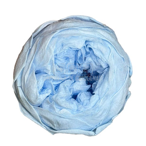 Trandafiri Criogenati NIKI BLU-89 (dia. 5cm, set 6 buc /cutie) - DepozituldeCriogenati.ro