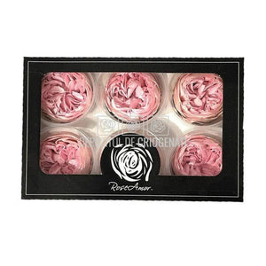 Trandafiri Criogenati NIKI PIN-04 (dia. 5cm, set 6 buc /cutie) - DepozituldeCriogenati.ro
