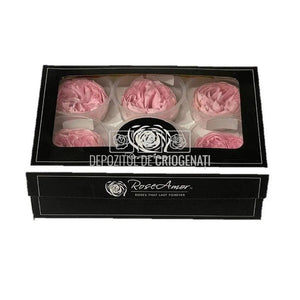 Trandafiri Criogenati NIKI PIN-04 (dia. 5cm, set 6 buc /cutie) - DepozituldeCriogenati.ro