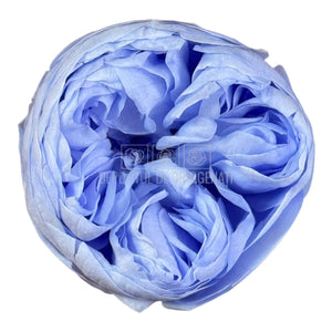 Trandafiri Criogenati NIKI VIO - 89 (dia. 5cm, set 6 buc /cutie) - DepozituldeCriogenati.ro