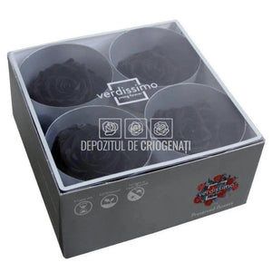 Trandafiri Criogenati PREMIUM BLACK (Ø7-8,5cm; set 4 buc /cutie) - DepozituldeCriogenati.ro