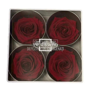 Trandafiri Criogenati PREMIUM BURGUNDY (Ø7-8,5cm; 4 buc /cutie) - DepozituldeCriogenati.ro