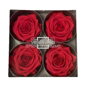 Trandafiri Criogenati PREMIUM DARK PINK (Ø7-8,5cm; 4 buc /cutie) - DepozituldeCriogenati.ro