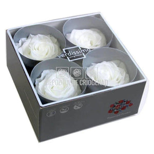 Trandafiri Criogenati PREMIUM WHITE (Ø7-8,5cm; set 4 buc /cutie) - DepozituldeCriogenati.ro