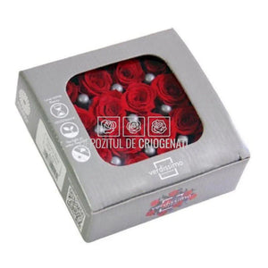 Trandafiri Criogenati PRINCESS RED (dia. 2,5-3cm, set 16 buc /cutie)
