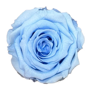 Trandafiri Criogenati S BLU-89 (dia. 3-4cm, set 12 buc /cutie) - DepozituldeCriogenati.ro