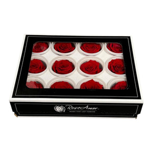 Trandafiri Criogenati S RED - 02 (dia. 3 - 4cm, set 12 buc /cutie) - DepozituldeCriogenati.ro