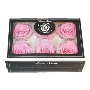 Trandafiri Criogenati XL BIC-08 (dia. 6-6,5cm, set 6 buc /cutie)