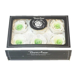 Trandafiri Criogenati XL BIC-18 (Ø6-6,5cm, set 6 buc /cutie) - DepozituldeCriogenati.ro