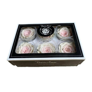 Trandafiri Criogenati XL BIC-23 (Ø6-6,5cm, set 6 buc /cutie) - DepozituldeCriogenati.ro