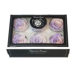 Trandafiri Criogenati XL BIC-27 (Ø6-6,5cm, set 6 buc /cutie) - DepozituldeCriogenati.ro