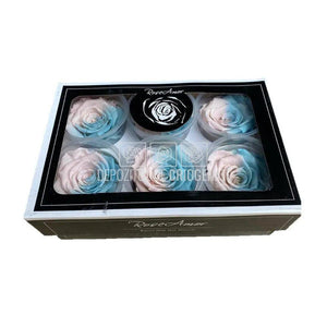 Trandafiri Criogenati XL BIC-40 (Ø6-6,5cm, set 6 buc /cutie) - DepozituldeCriogenati.ro