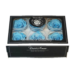 Trandafiri Criogenati XL BLU-01 (Ø6-6,5cm, set 6 buc /cutie) - DepozituldeCriogenati.ro