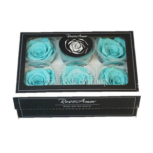 Trandafiri Criogenati XL BLU-02 (Ø6-6,5cm, set 6 buc /cutie) - DepozituldeCriogenati.ro