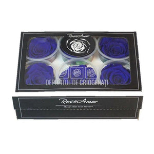 Trandafiri Criogenati XL BLU-03 (Ø6-6,5cm, set 6 buc /cutie) - DepozituldeCriogenati.ro
