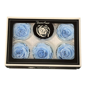 Trandafiri Criogenati XL BLU - 89 (dia. 6 - 6,5cm, set 6 buc /cutie) - DepozituldeCriogenati.ro