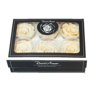 Trandafiri Criogenati XL CHA-01 (Ø6-6,5cm, set 6 buc /cutie) - DepozituldeCriogenati.ro