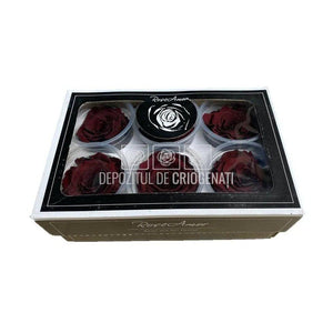 Trandafiri Criogenati XL CHO-01 (Ø6-6,5cm, set 6 buc /cutie) - DepozituldeCriogenati.ro