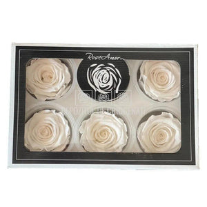 Trandafiri Criogenati XL GLOW PURPLE (Ø6-6,5cm, set 6 buc /cutie) - DepozituldeCriogenati.ro