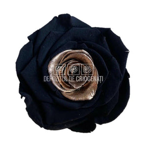 Trandafiri Criogenati XL GOLD TEAR (Ø6-6,5cm, set 6 buc /cutie) - DepozituldeCriogenati.ro