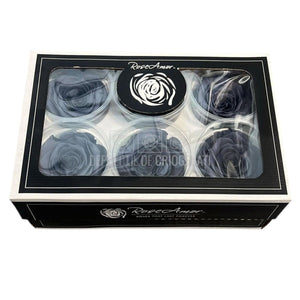 Trandafiri Criogenati XL GRY - 01 (dia. 6 - 6,5cm, set 6 buc /cutie) - DepozituldeCriogenati.ro