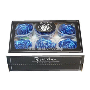 Trandafiri Criogenati XL METALLIC DEEP BLUE (Ø6-6,5cm, 6 buc) - DepozituldeCriogenati.ro
