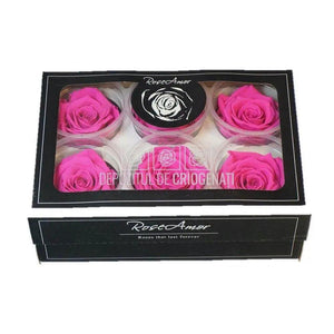 Trandafiri Criogenati XL PIN-07 (Ø6-6,5cm, set 6 buc /cutie) - DepozituldeCriogenati.ro
