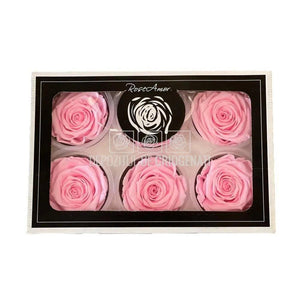 Trandafiri Criogenati XL PIN-99 (Ø6-6,5cm, set 6 buc /cutie) - DepozituldeCriogenati.ro
