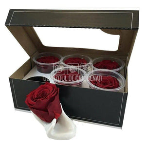 Trandafiri Criogenati XL RED - 01 (dia. 6 - 6,5cm) - Depozitul de Criogenati