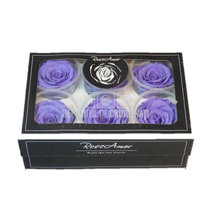 Trandafiri Criogenati XL VIO-01 (Ø6-6,5cm, set 6 buc /cutie) - DepozituldeCriogenati.ro
