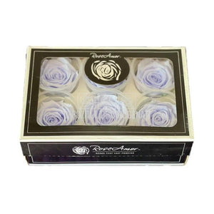 Trandafiri Criogenati XL VIO-89 (Ø6-6,5cm, set 6 buc /cutie) - DepozituldeCriogenati.ro