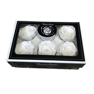 Trandafiri Criogenati XL WHI-01 (Ø6-6,5cm, set 6 buc /cutie) - DepozituldeCriogenati.ro