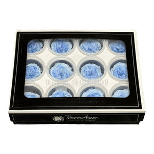 Trandafiri de gradina AMELIA BLU-89 (dia. 3-4cm, set 12 buc /cutie) - DepozituldeCriogenati.ro
