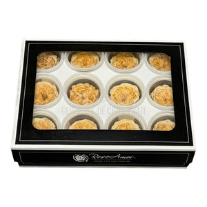 Trandafiri de gradina AMELIA CHA-01 (dia. 3-4cm, set 12 buc /cutie) - DepozituldeCriogenati.ro