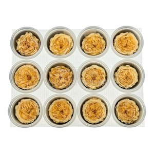 Trandafiri de gradina AMELIA CHA-01 (dia. 3-4cm, set 12 buc /cutie) - DepozituldeCriogenati.ro