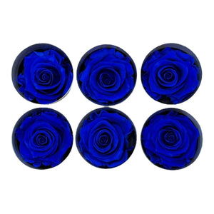 Trandafiri STANDARD DARK BLUE (dia. 5-5,5cm; set 6 buc /cutie) - DepozituldeCriogenati.ro