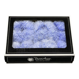 Cheers Dianthus Criogenat VIO-89 (Ø6cm, set 9-15 buc /cutie) - DepozituldeCriogenati.ro