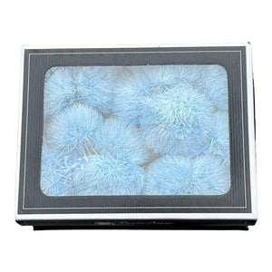 Cheers Dianthus Criogenat BLU-89 (Ø6cm, set 9-11 buc /cutie) - DepozituldeCriogenati.ro