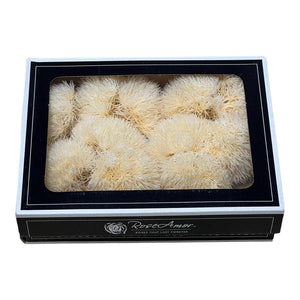 Cheers Dianthus Criogenat CHA-99 (Ø6cm, set 9-11 buc /cutie) - DepozituldeCriogenati.ro