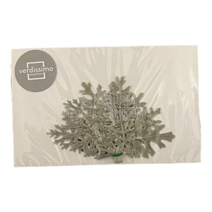 Cineraria (Frunze Criogenate, 10 buc) - DepozituldeCriogenati.ro