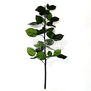 Cozi Criogenate RoseAmor 70cm pt Trandafiri Criogenati, Set 5 buc - DepozituldeCriogenati.ro