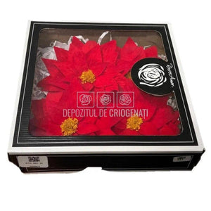 Craciunita Criogenata CRACIUNITA RED-02, Ø11cm, set 2 buc/cutie - DepozituldeCriogenati.ro