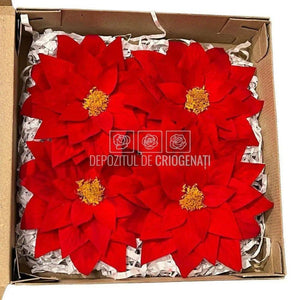 Craciunita Criogenata CRACIUNITA RED-02, Ø11cm, set 2 buc/cutie - DepozituldeCriogenati.ro