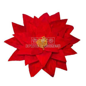 Craciunita Criogenata CRACIUNITA RED-02, Ø11cm, set 2 buc/cutie - DepozituldeCriogenati.ro