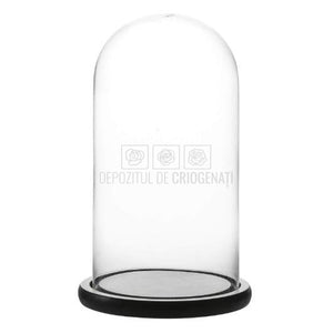 Cupola sticla 12x25cm (blat lemn negru)