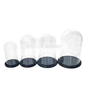 Cupola sticla 15x25cm (blat lemn negru)